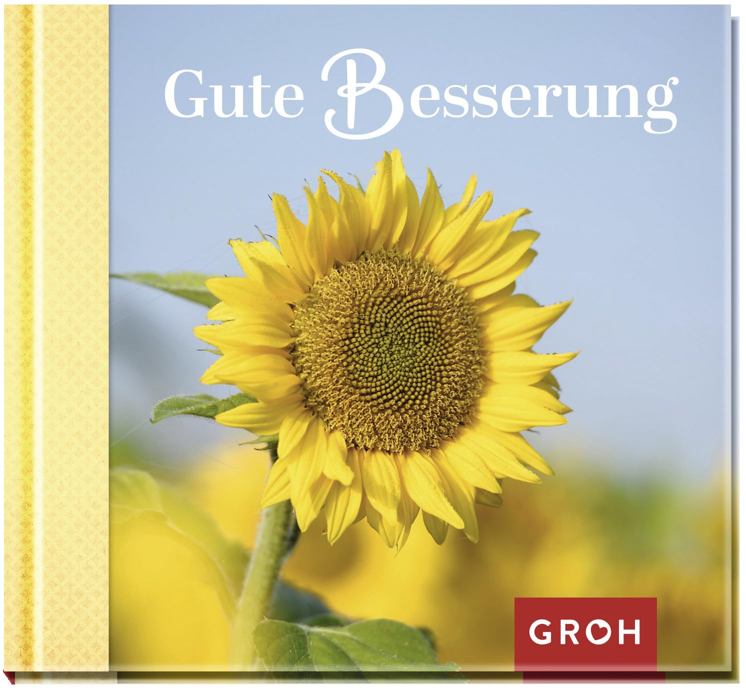 Gute Besserung Lifestyle Books