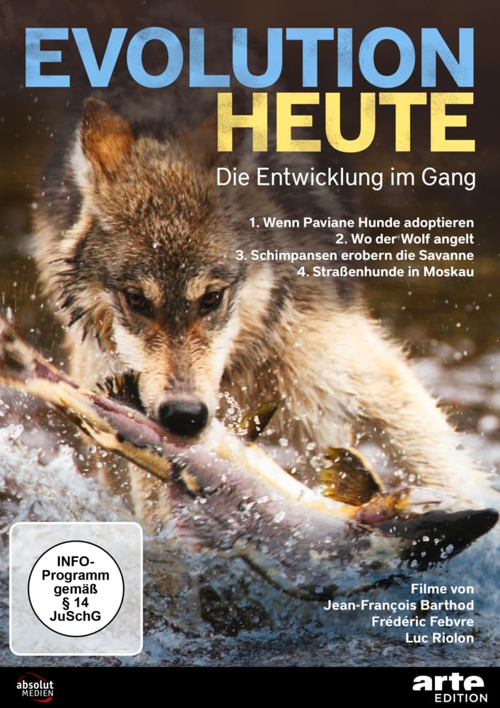 Evolution heute: Die Entwicklung im Gang Films