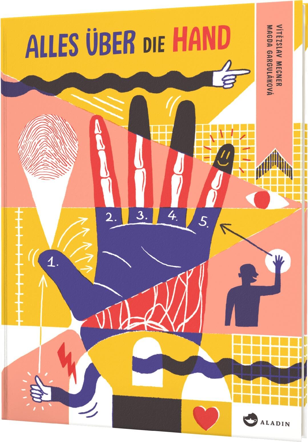 Alles über die Hand: Sachbuch für Kinder ab 8, stilvoll illustriert Politics & History