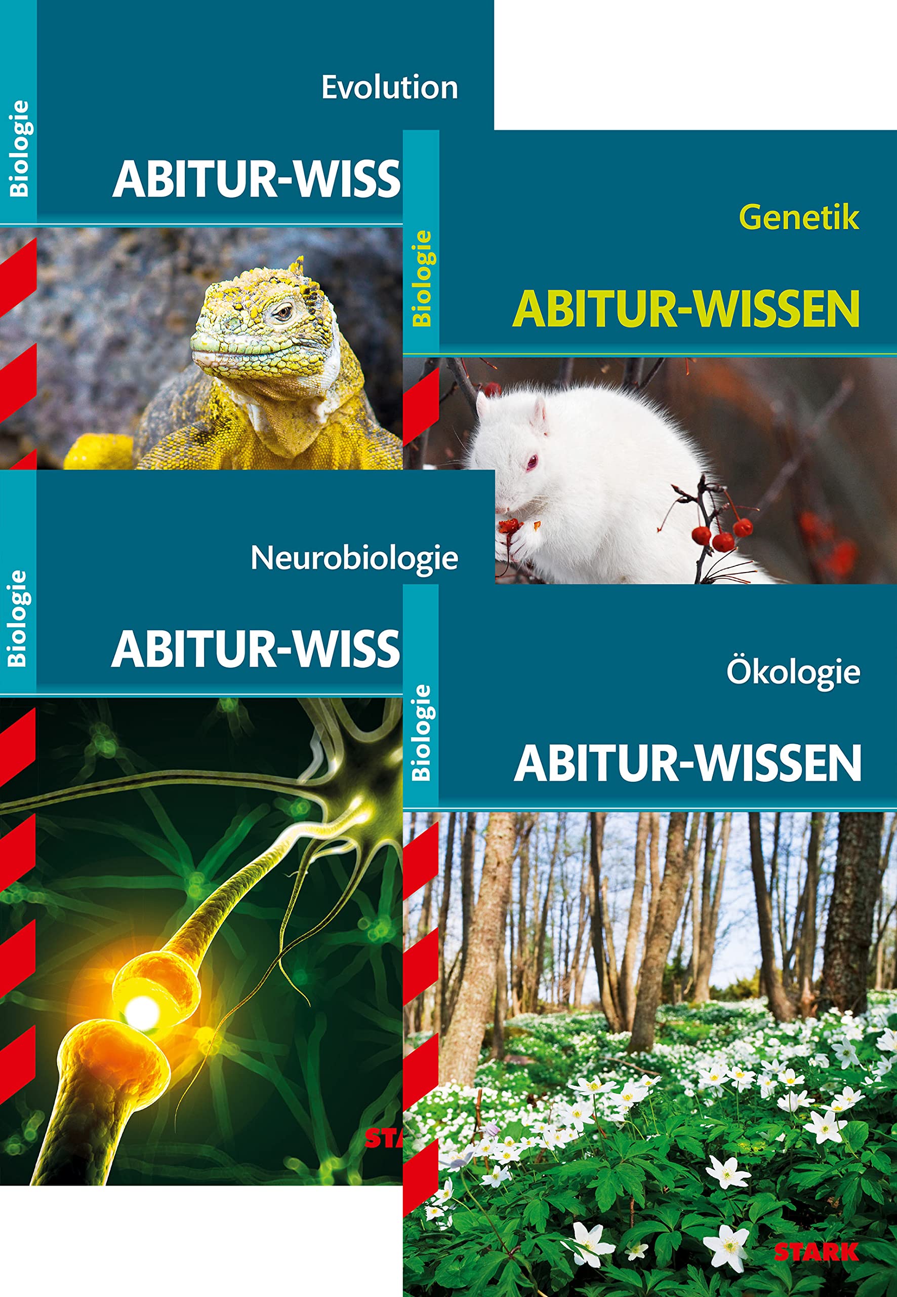 STARK Abitur-Wissen Biologie Bände 1-4 book