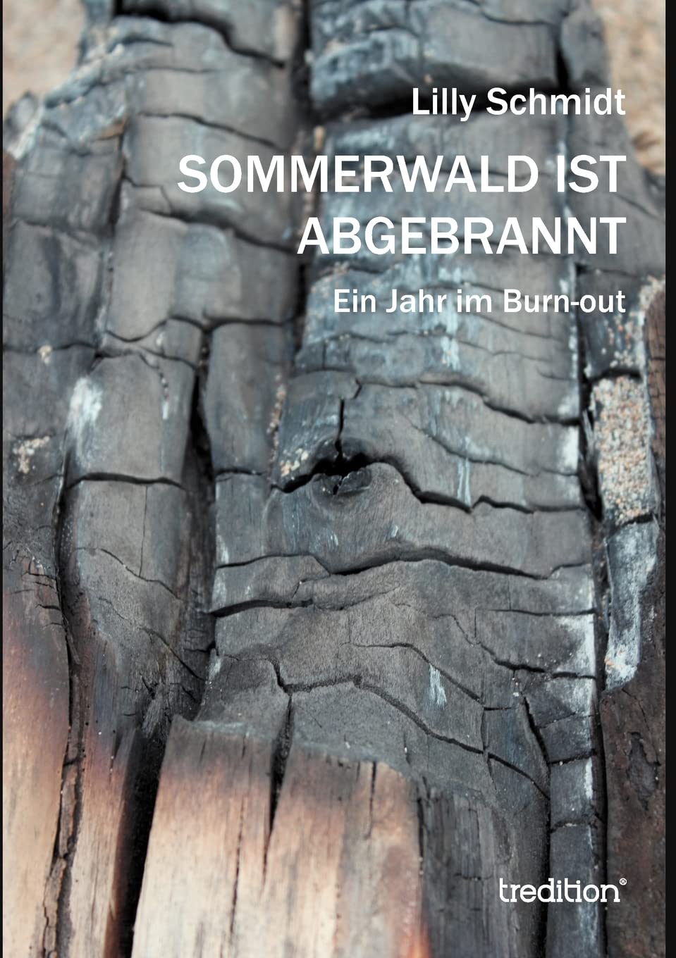 Sommerwald ist abgebrannt: Ein Jahr im Burn-out Memories