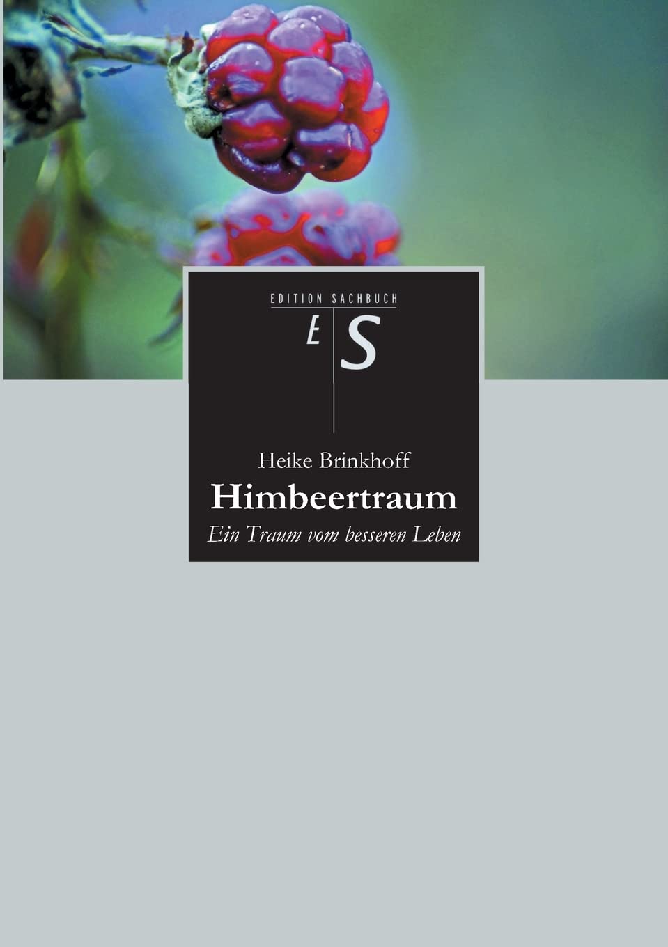 Himbeertraum: Ein Traum vom besseren Leben Contemporary literature