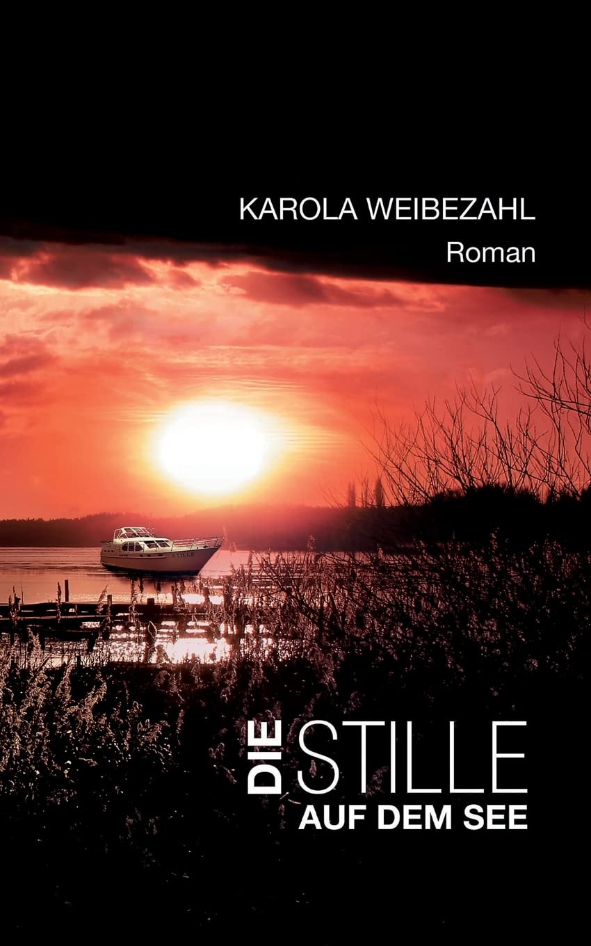 Die Stille auf dem See Contemporary literature