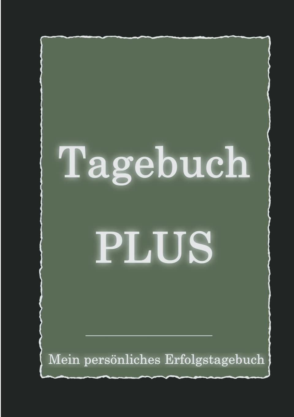 Tagebuch PLUS - Mein persönliches Erfolgstagebuch mit Leitfragen zum Selbstcoaching Business, Finance & Career
