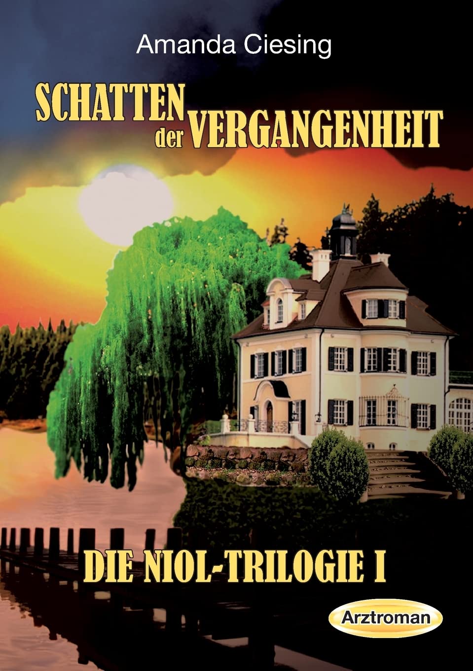 Schatten der Vergangenheit Contemporary literature
