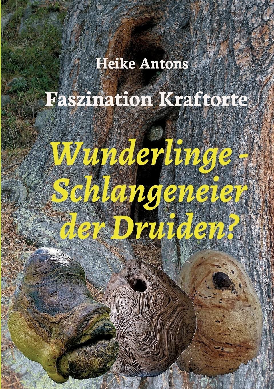 Wunderlinge - Schlangeneier der Druiden? Second hand books on Religion & Esotericism