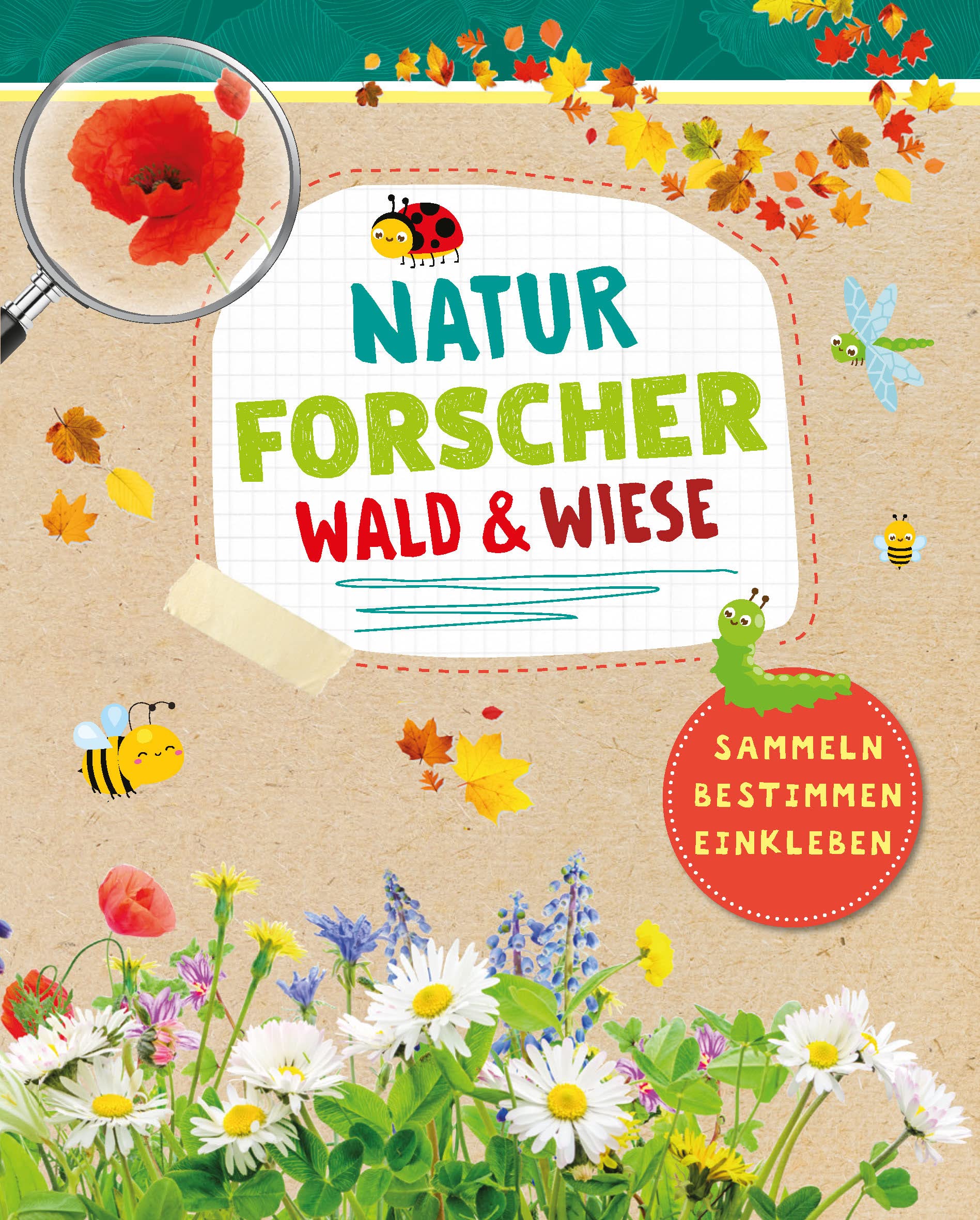 Naturforscher Wald & Wiese - Sammeln, Bestimmen, Einkleben Natural Sciences