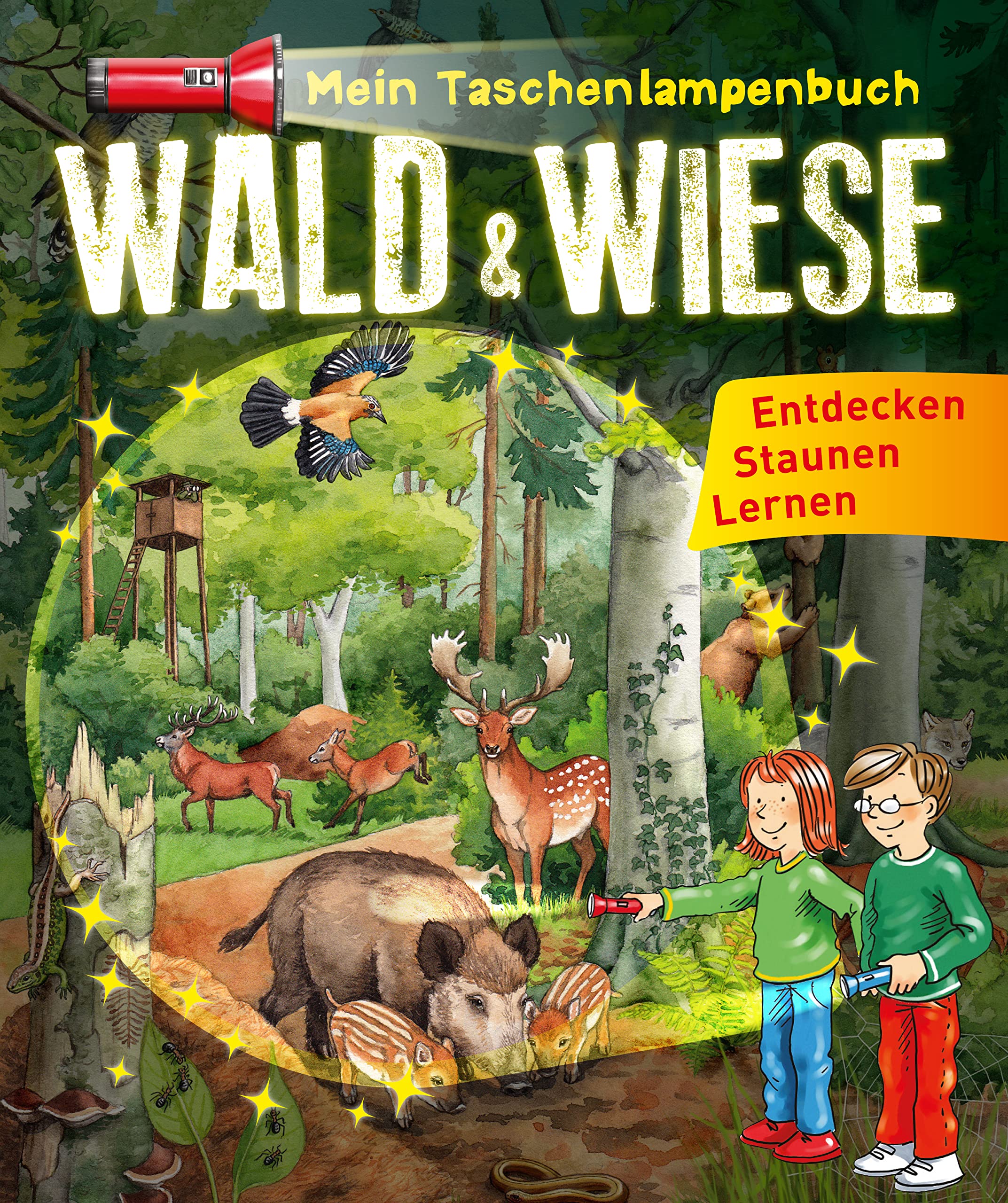 Mein Taschenlampenbuch Wald & Wiese: Entdecken - Staunen -Lernen für Kinder ab 6 Jahren Non-fiction