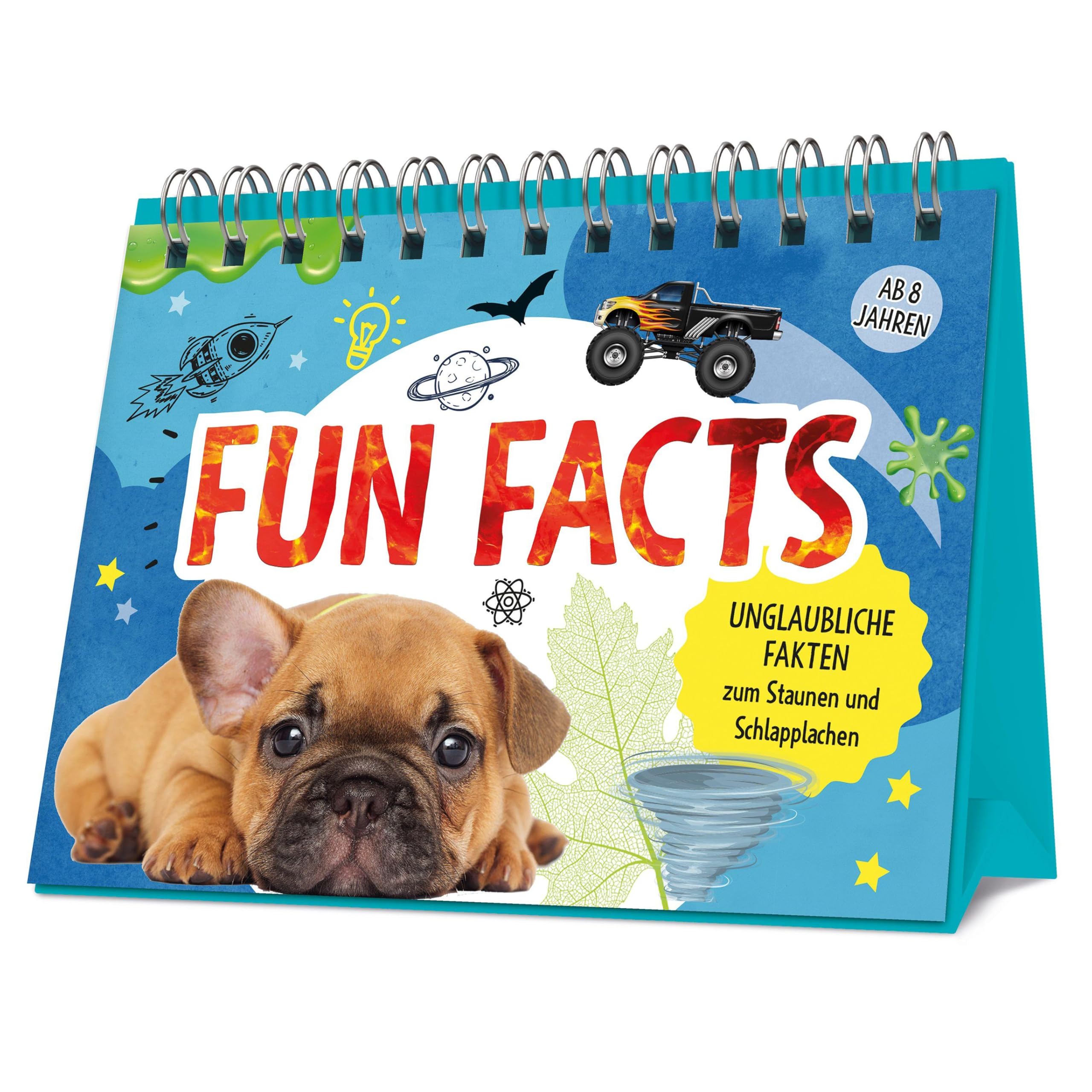 Fun Facts I Unnützes Wissen für Kids ab 8 Jahren Living & Furnishing