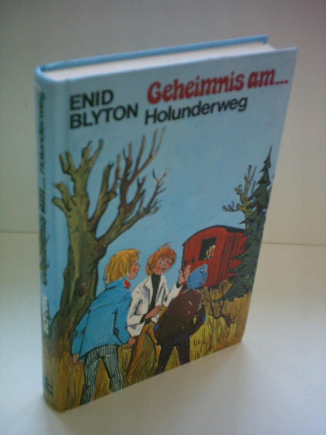 Geheimnis am Holunderweg Books