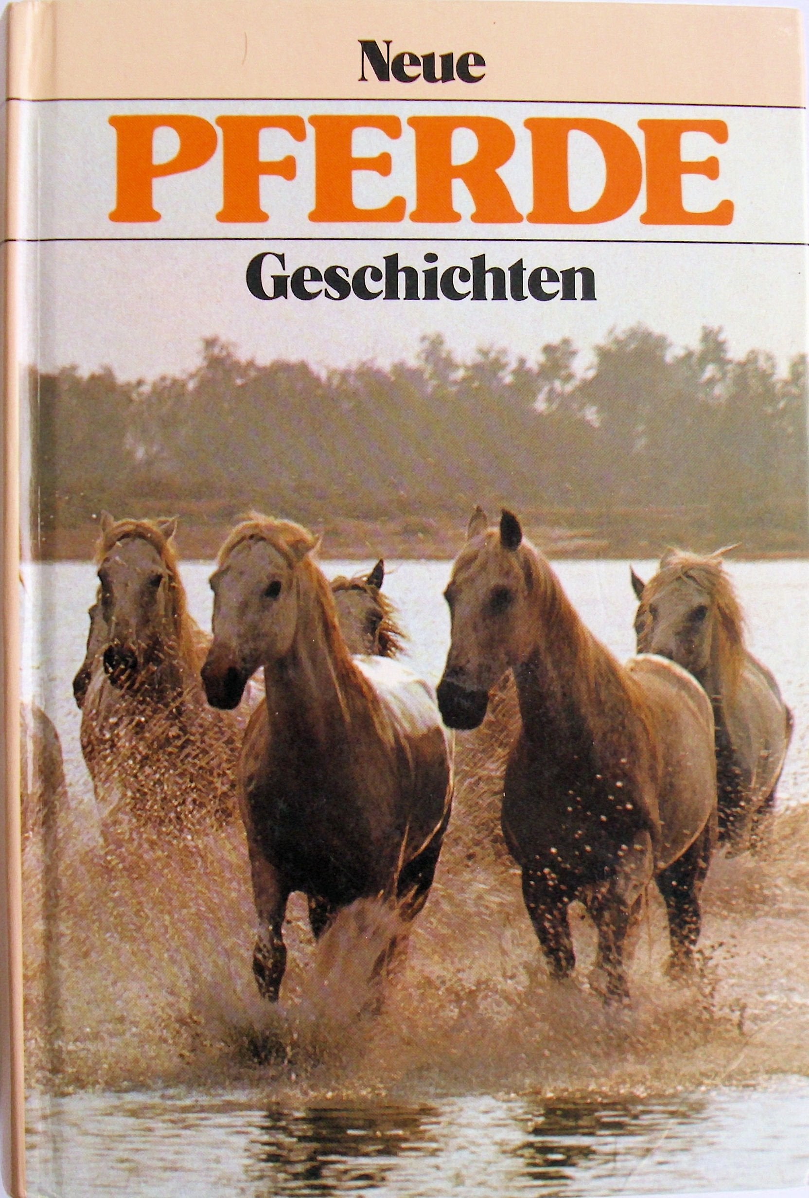 Neue Pferdegeschichten Books