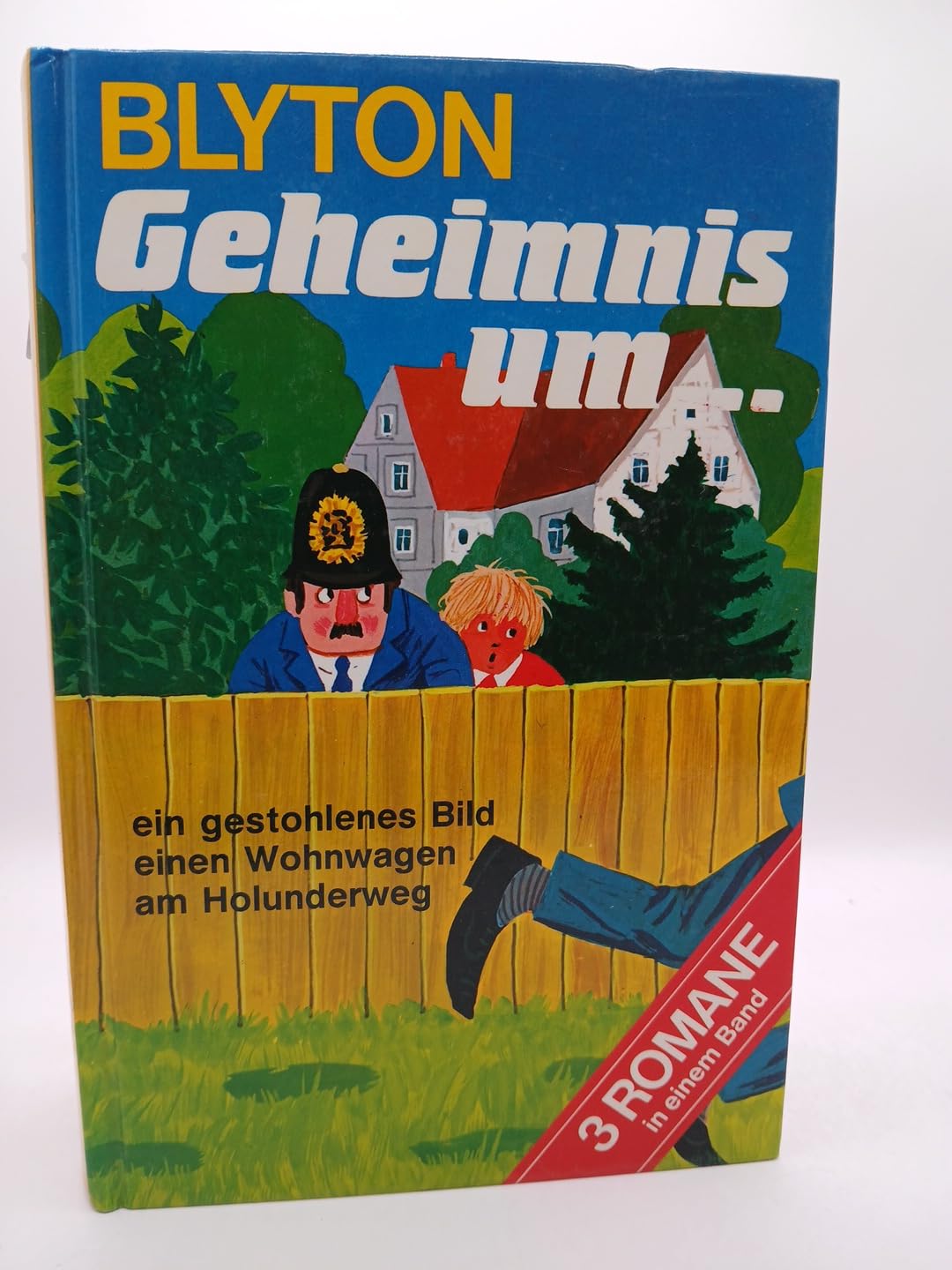 Geheimnis um… - …ein gestohlenes Bild/…einen Wohnwagen/…am Holunderweg book