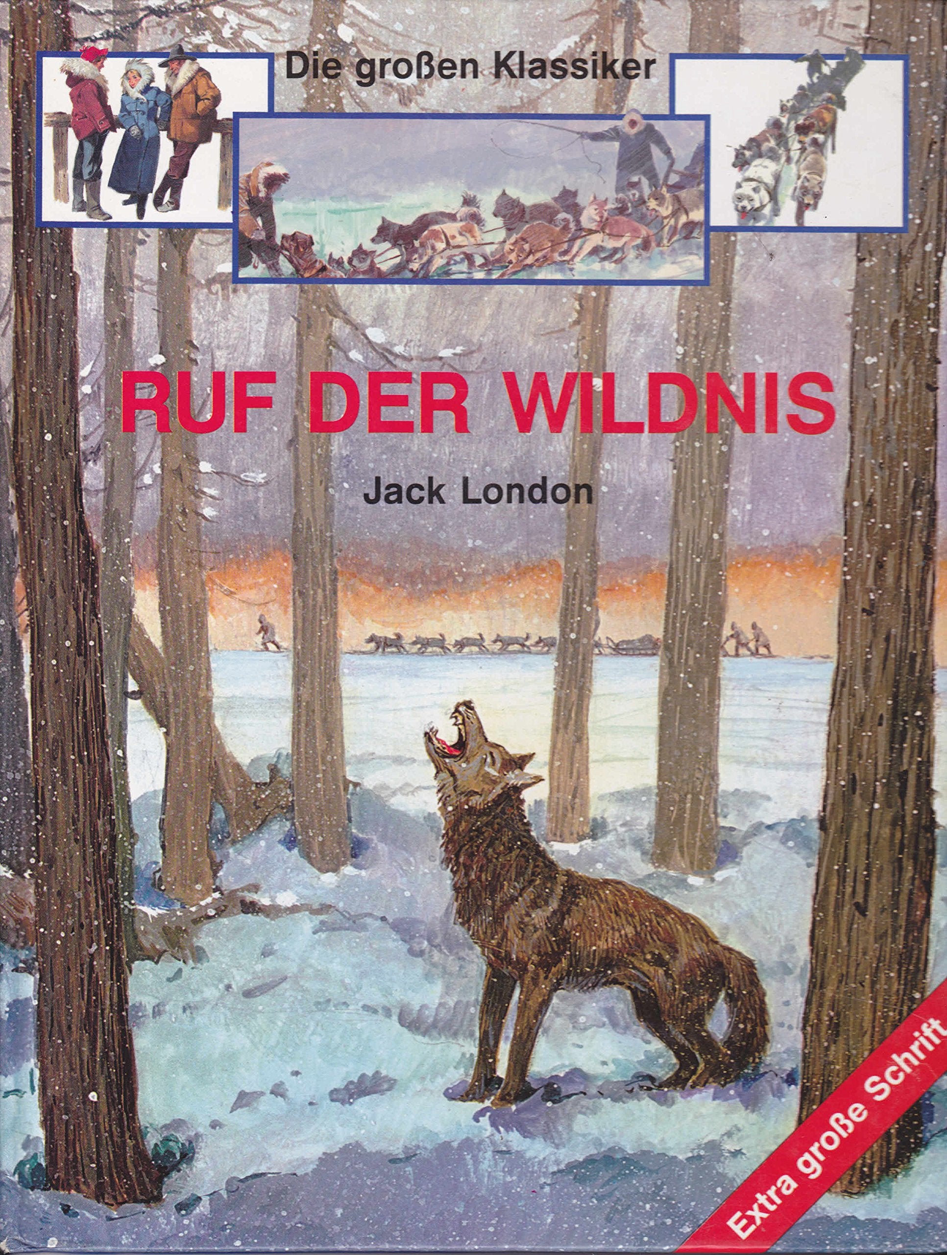 Ruf der Wildnis (Die großen Klassiker) Extra große Schrift Books