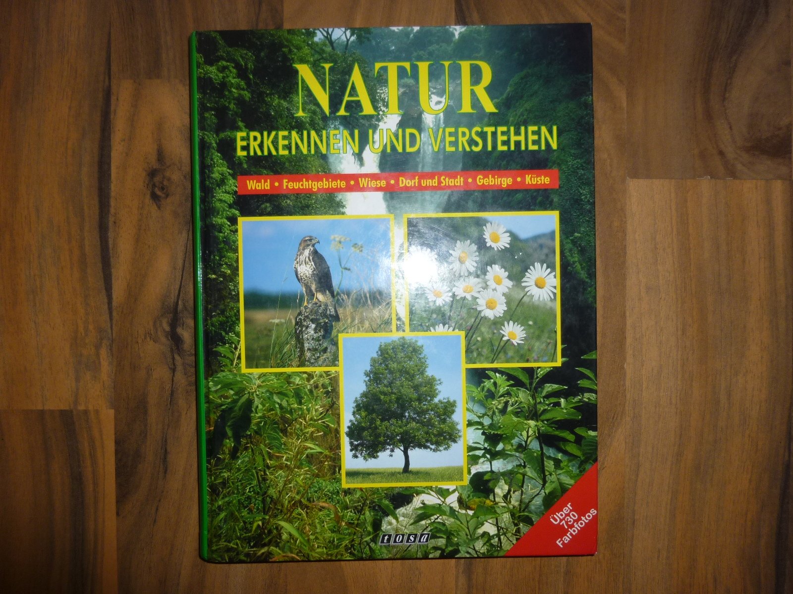 Natur erkennen und verstehen Books