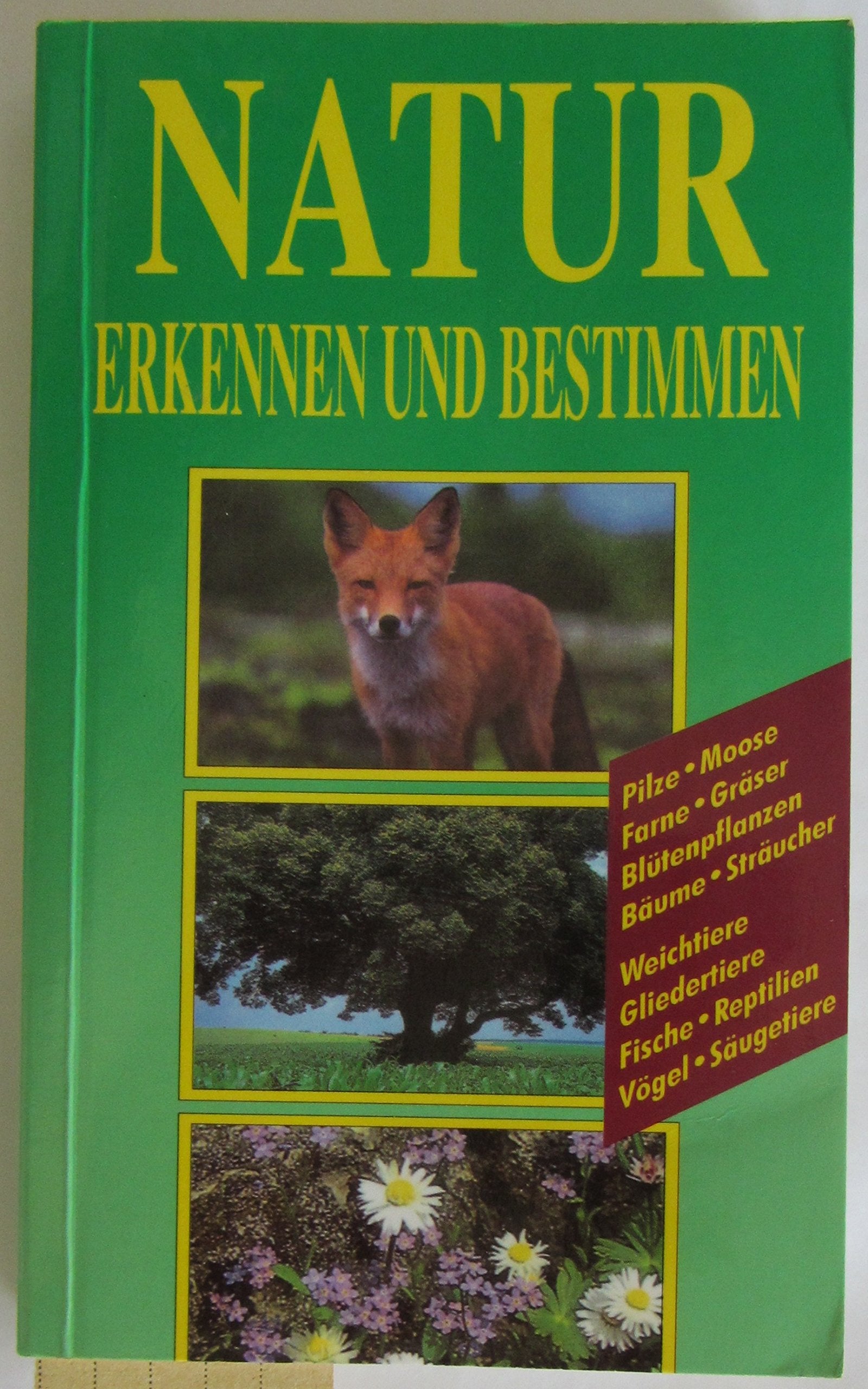 Natur erkennen und bestimmen - Dr. Christine Jaitner Books