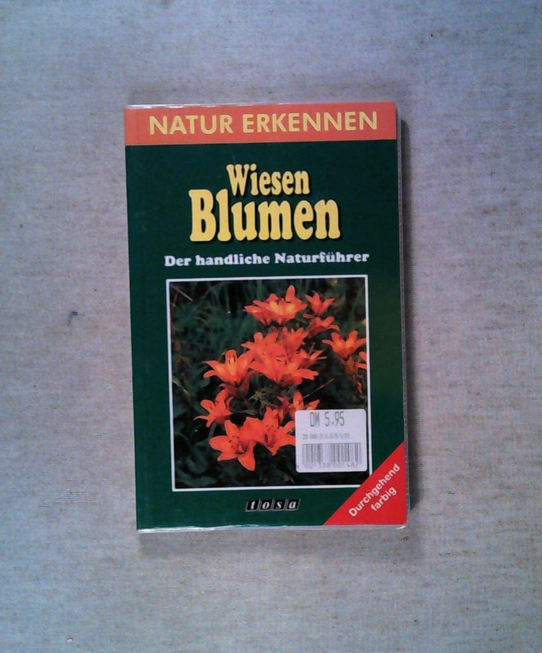 Natur erkennen, Natur bestimmen, Wiesenblumen Natural Sciences