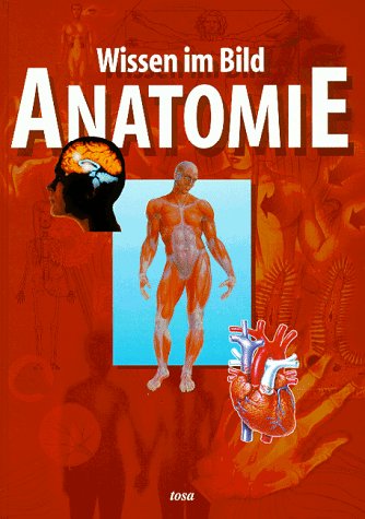 Anatomie Medicine