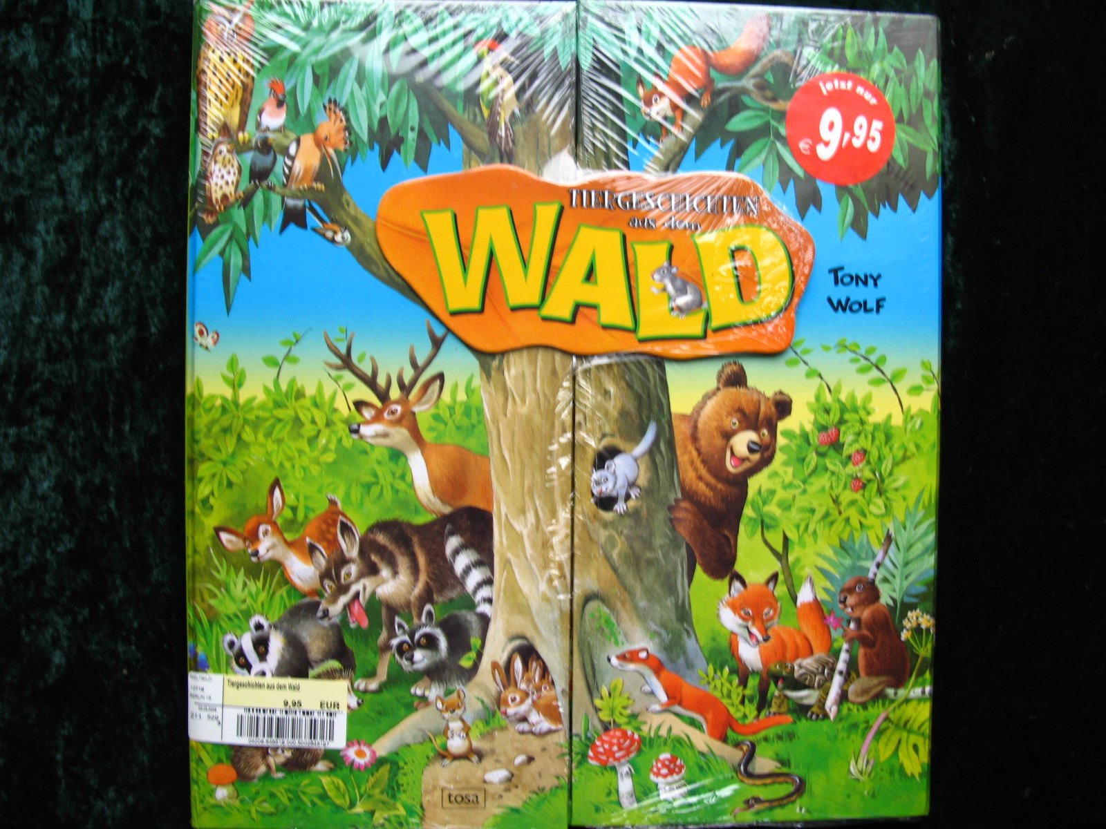 Tiergeschichten aus dem Wald: Zum Aufstellen und Spielen Children's books