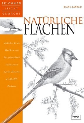 Natürliche Flächen: Zeichnen leicht gemacht Hobbies & Crafts