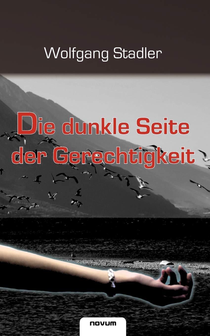 Die dunkle Seite der Gerechtigkeit Contemporary literature