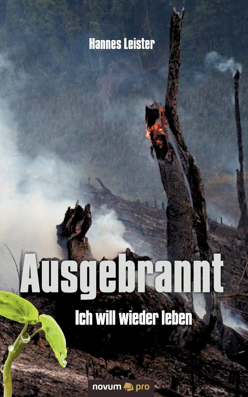 Ausgebrannt - Ich will wieder leben Contemporary literature