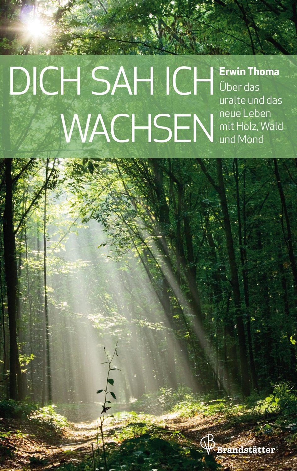 Dich sah ich wachsen. Über das uralte und das neue Leben mit Holz, Wald und Mond Film, Art & Culture