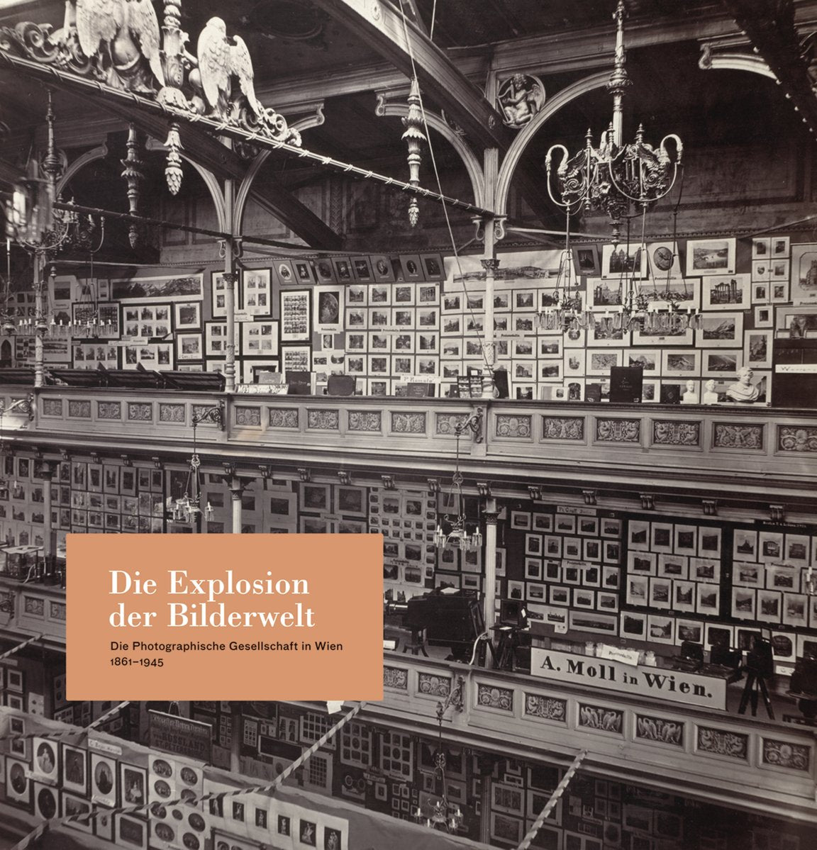 Die Explosion der Bilderwelt - Die Photographische Gesellschaft in Wien 1861 - 1945 (Beiträge zur Geschichte der Fotografie in Österreich) Photography