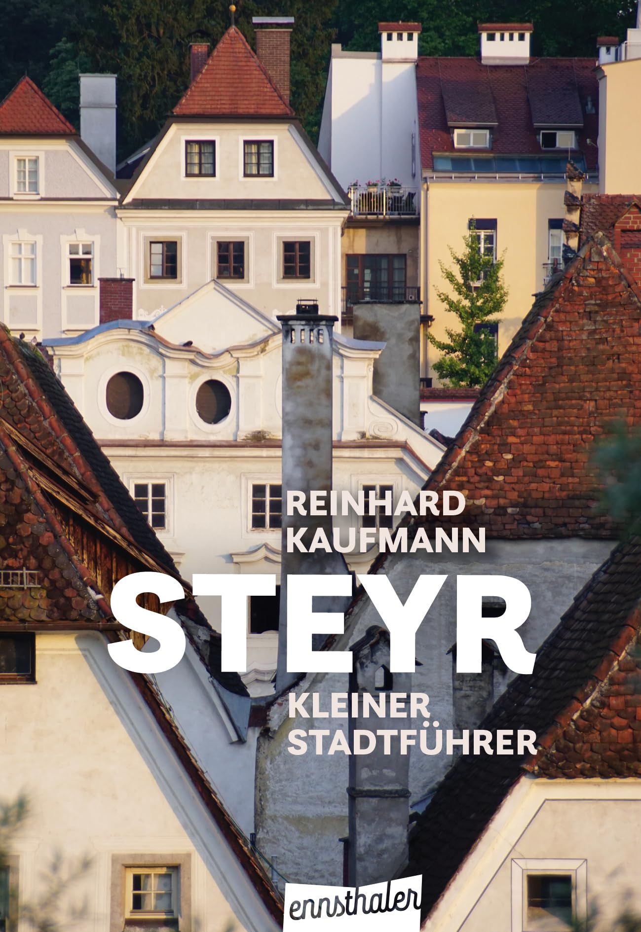 Product Image: Steyr