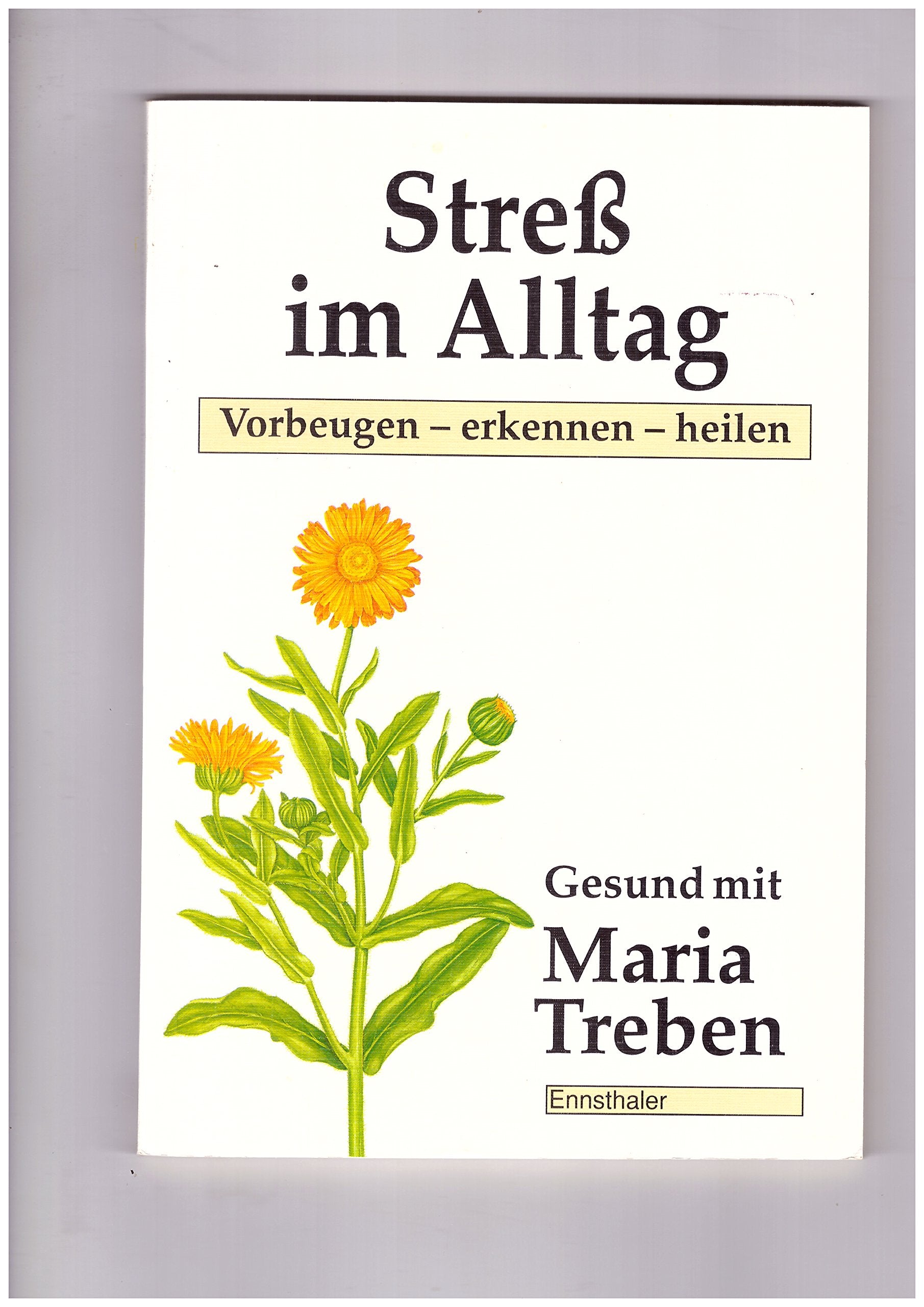 Stress im Alltag: Vorbeugen - Erkennen - Heilen (Gesund mit Maria Treben) Psychology