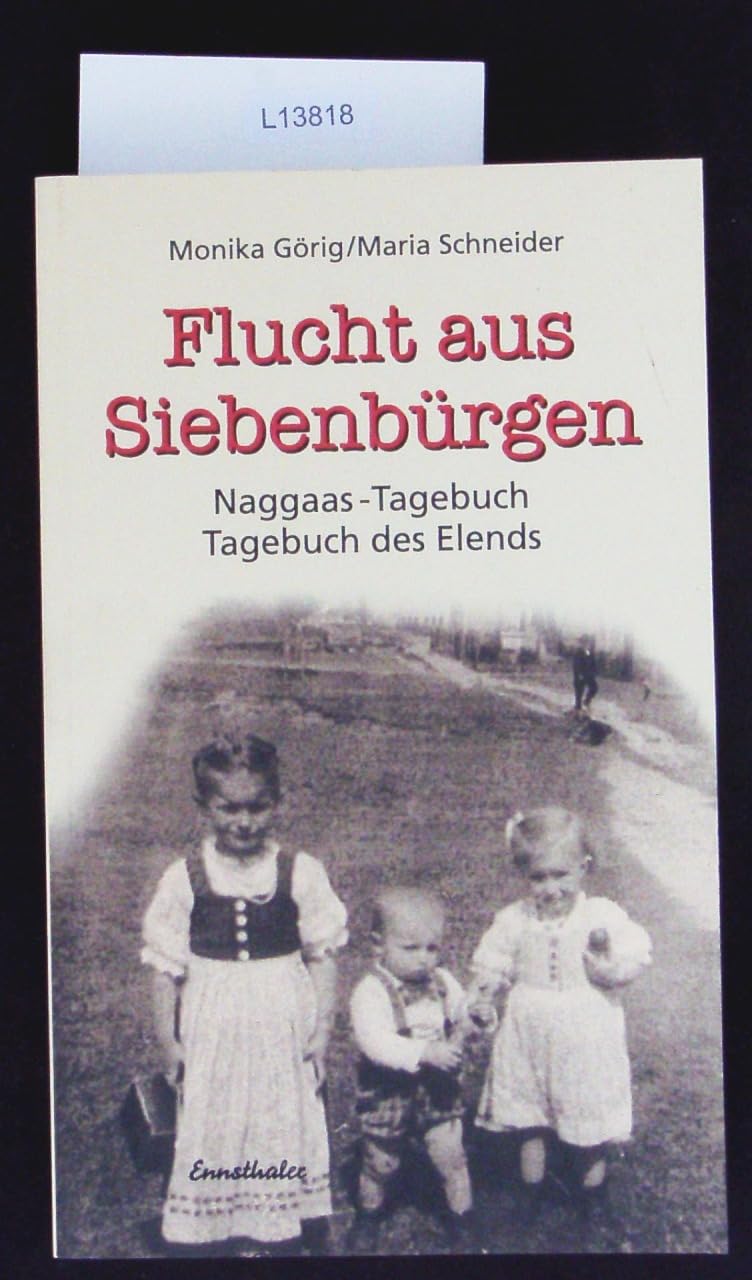 Flucht aus Siebenbürgen: Naggaas-Tagebuch. Tagebuch des Elends Politics & Society