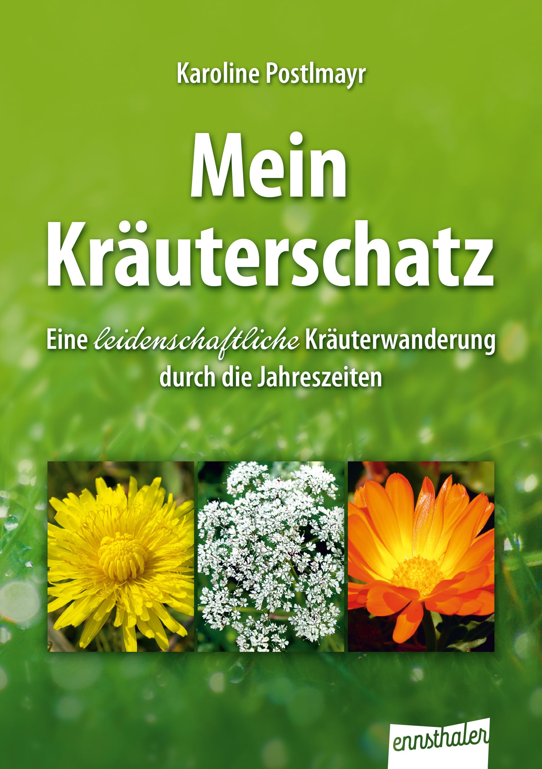 Mein Kräuterschatz Health, Nutrition & Fitness