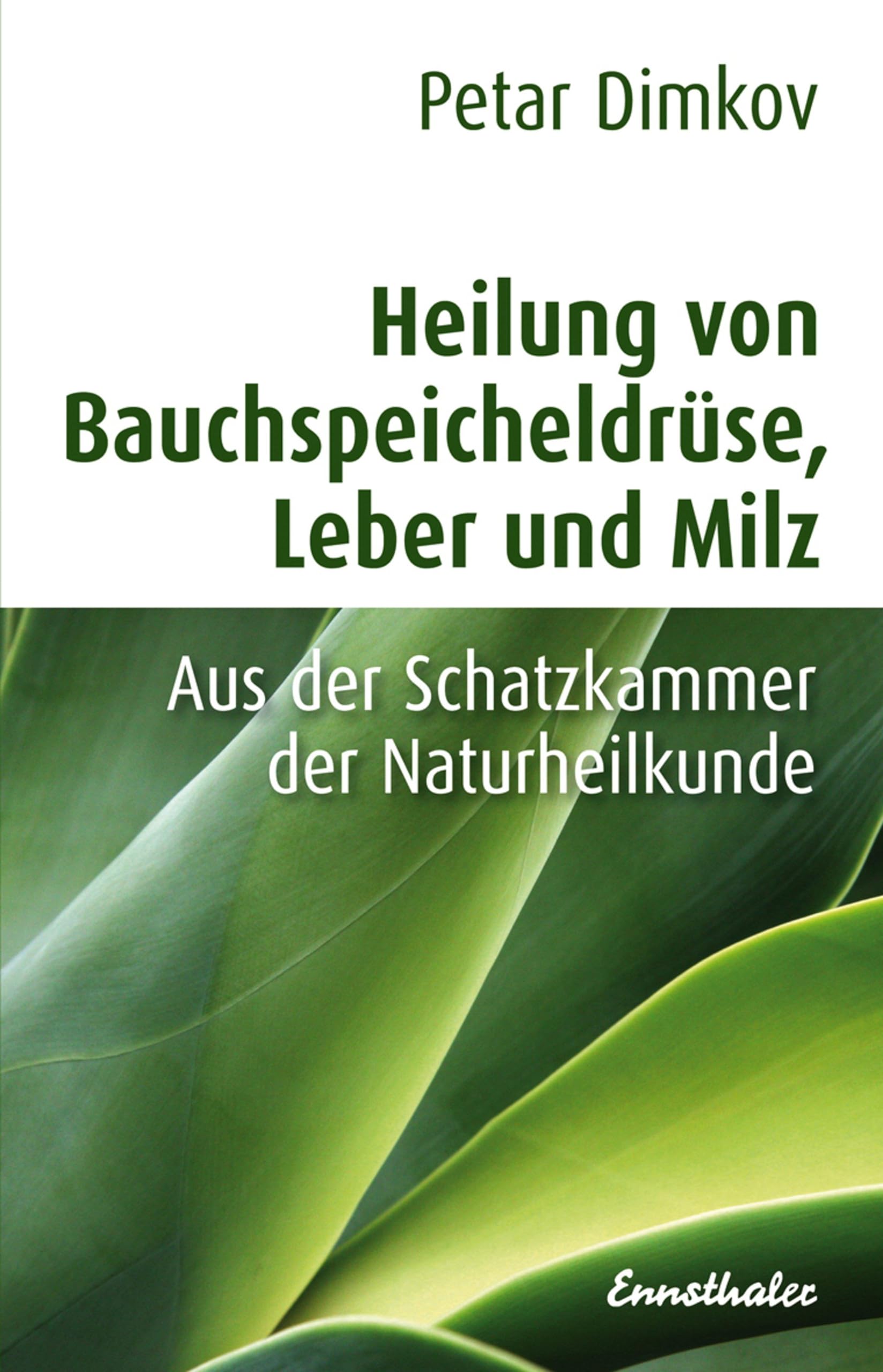 Heilung von Bauchspeicheldrüse, Leber und Milz Business & Technology