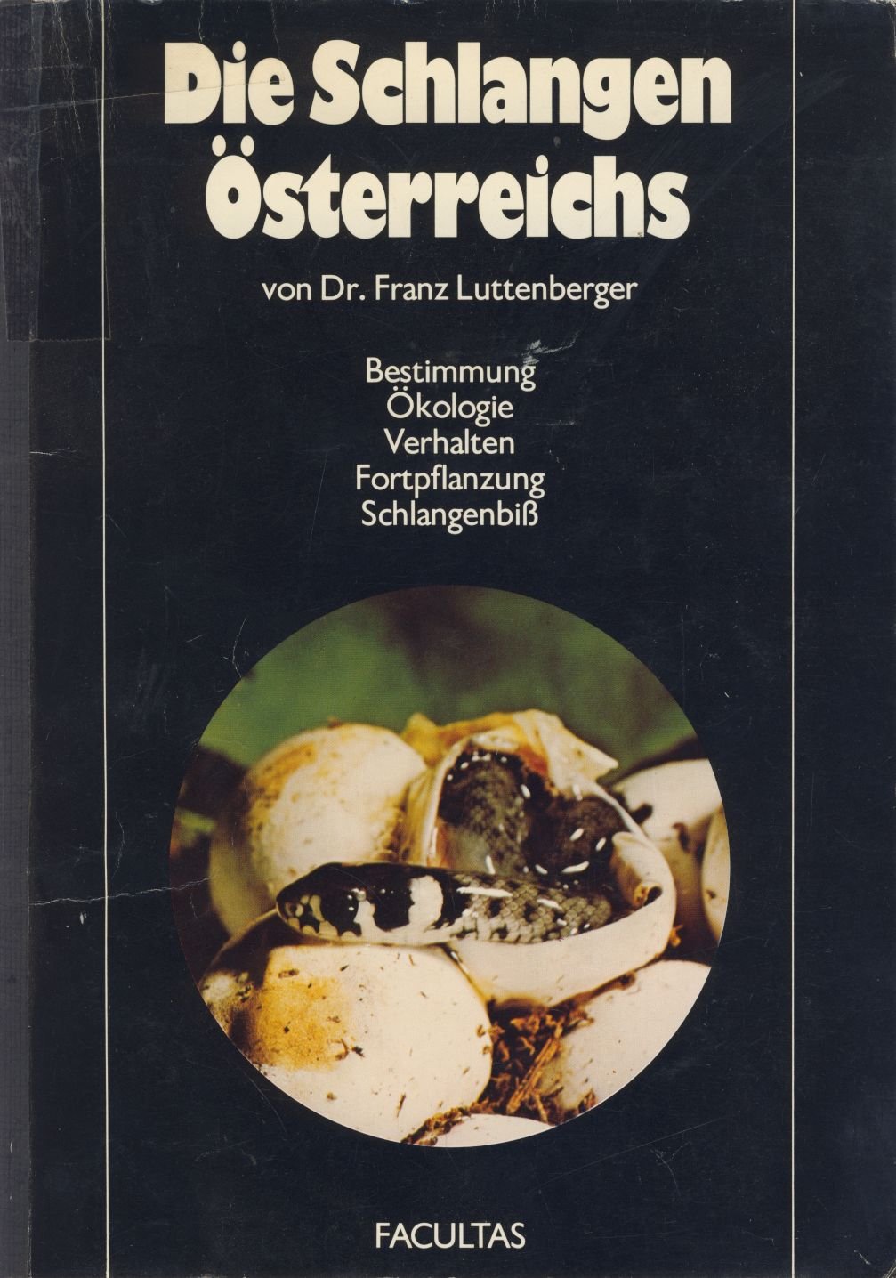 Die Schlangen Osterreichs book