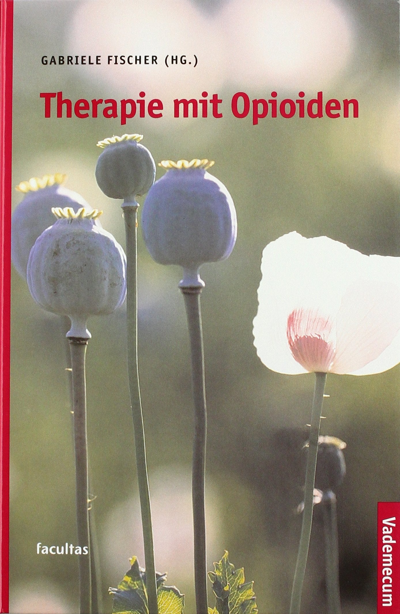 Product Image: Therapie mit Opioiden