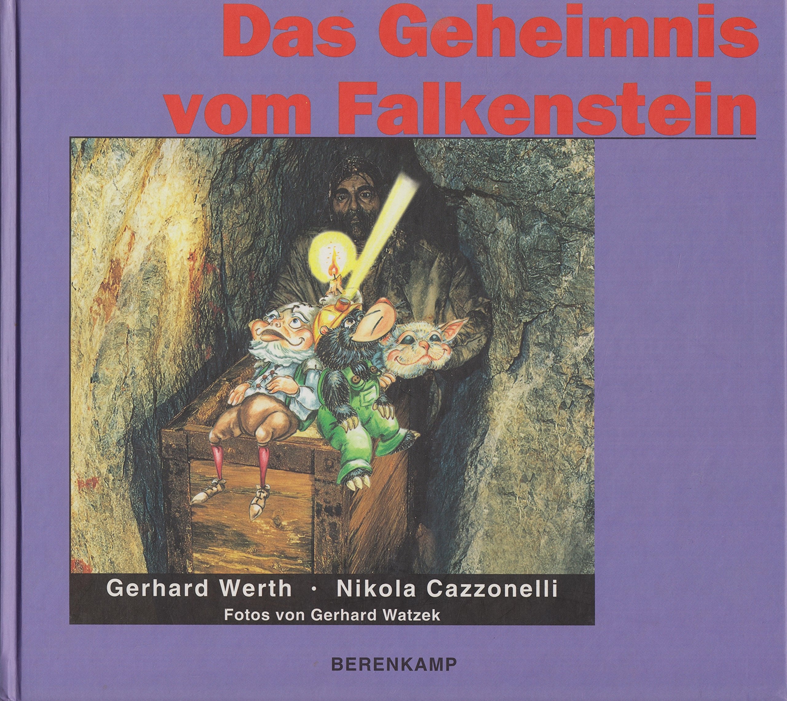 Das Geheimnis vom Falkenstein Contemporary literature