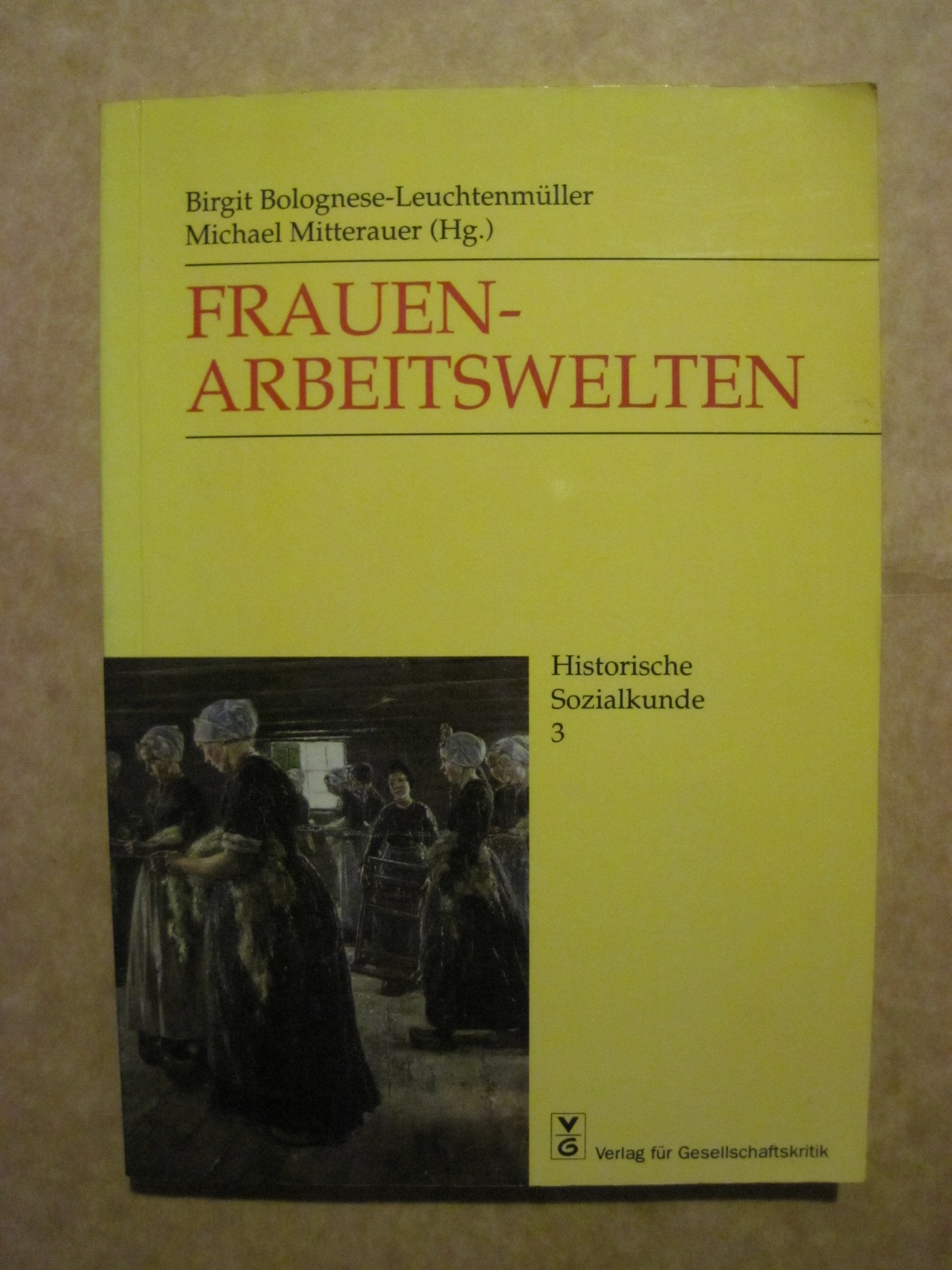 Frauen-Arbeitswelten: Zur historischen Genese gegenwärtiger Probleme Books