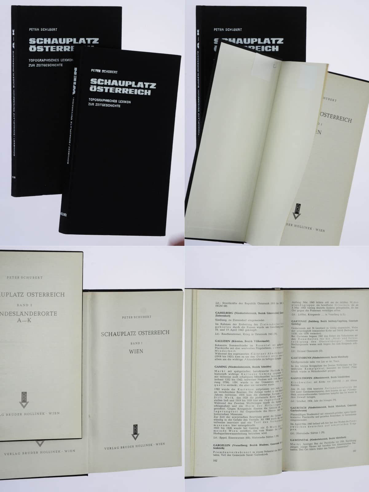 Schauplatz Österreich. Topographisches Lexikon zur Zeitgeschichte / Wien Reference Books