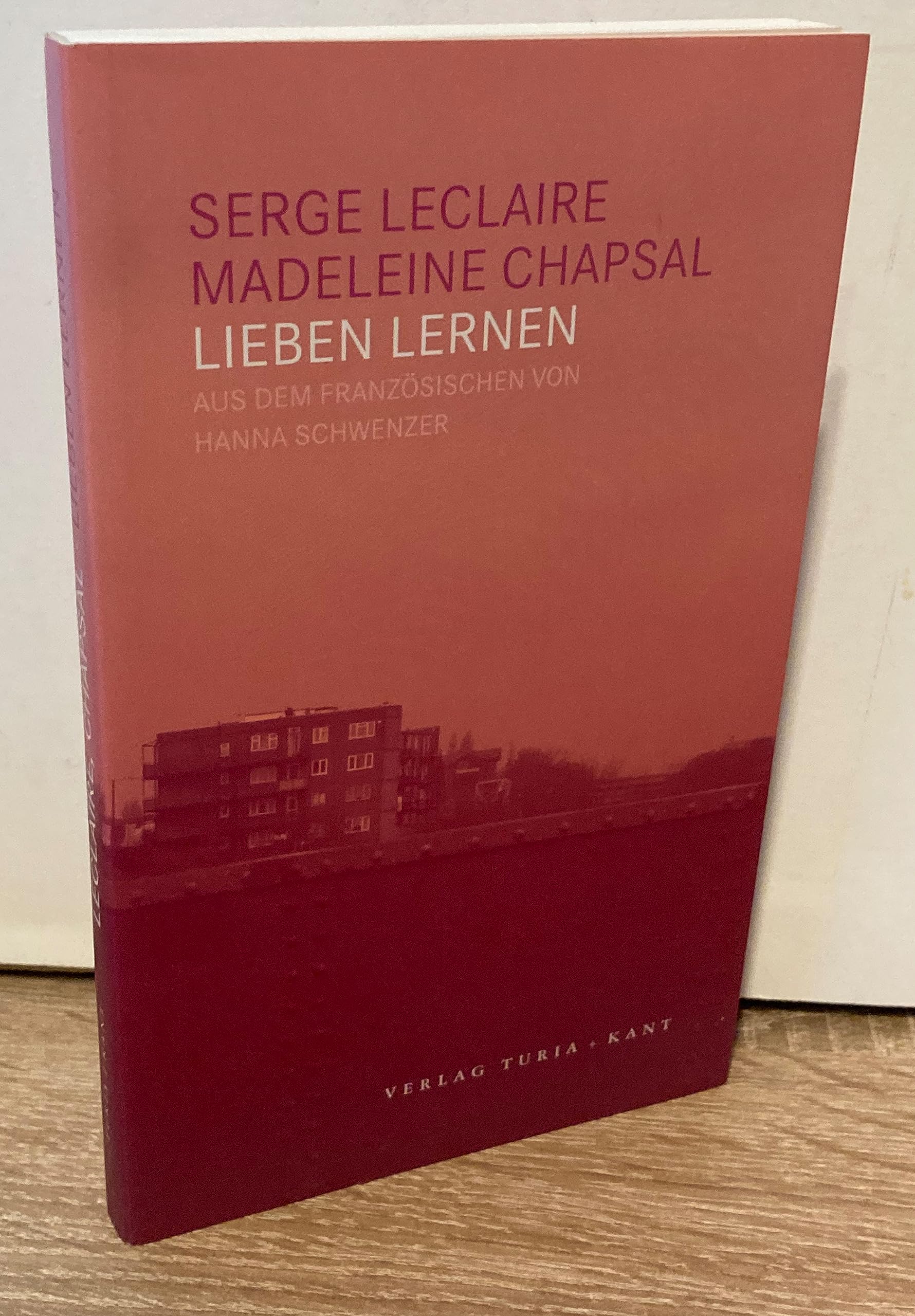 Lieben lernen: Vorw. v. Julia Kristeva Psychology