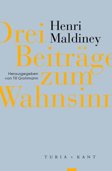 Drei Beiträge zum Wahnsinn Philosophy