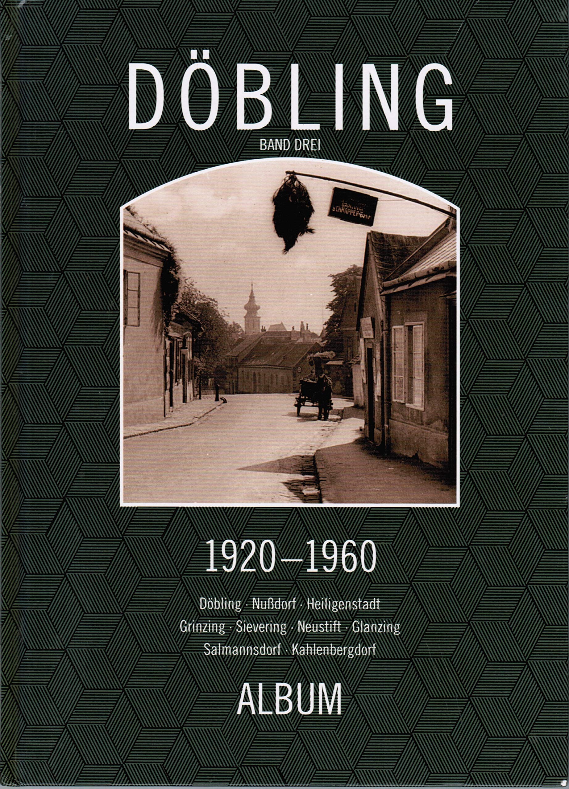 Döbling 1920-1960: Bd. 3, Döbling Nußdorf Heiligenstadt Grinzing Sievering Neustift Glanzing Salmannsdorf Kahlenbergerdorf Film, Art & Culture