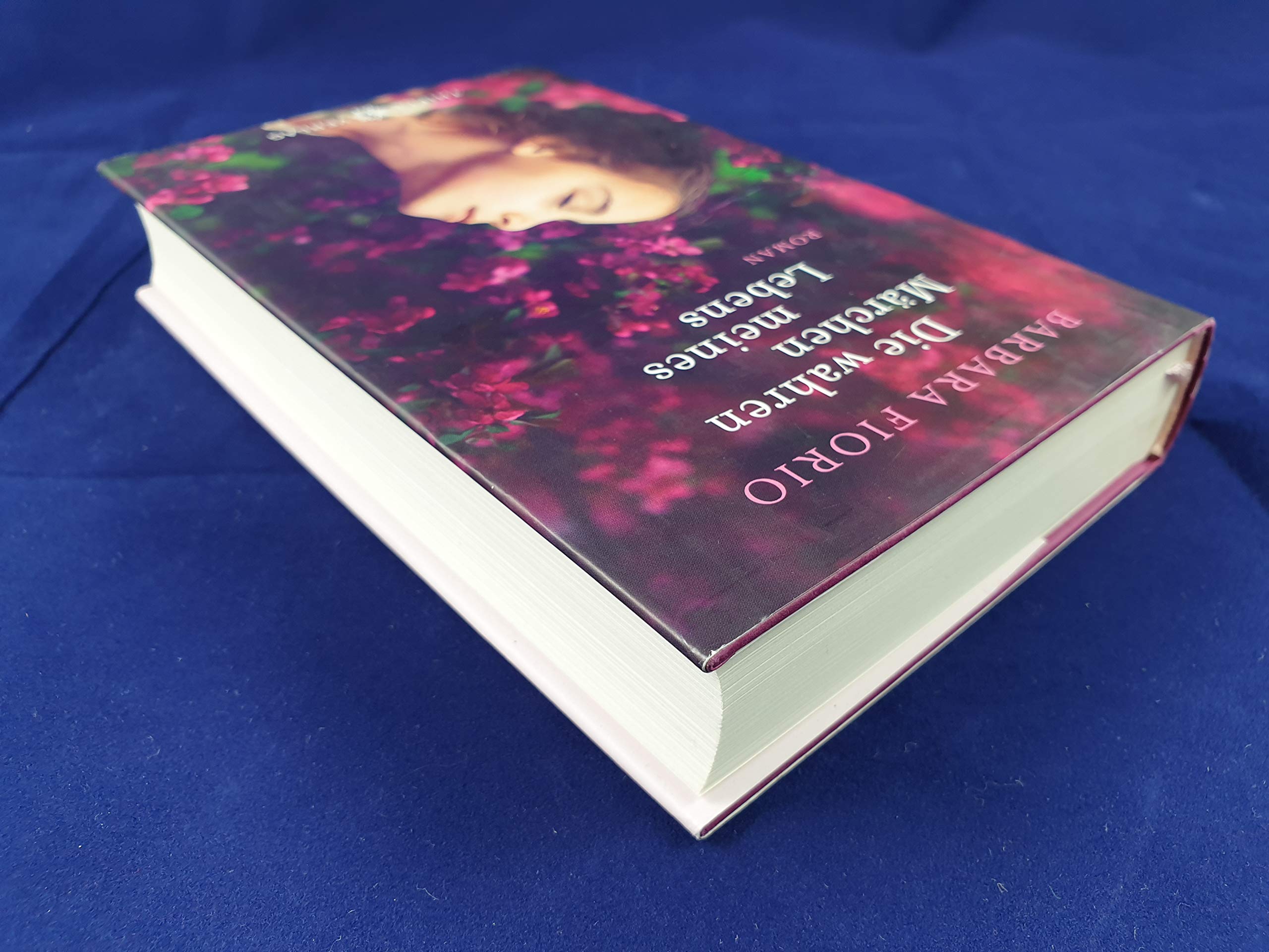 Die wahren Märchen meines Lebens Contemporary literature
