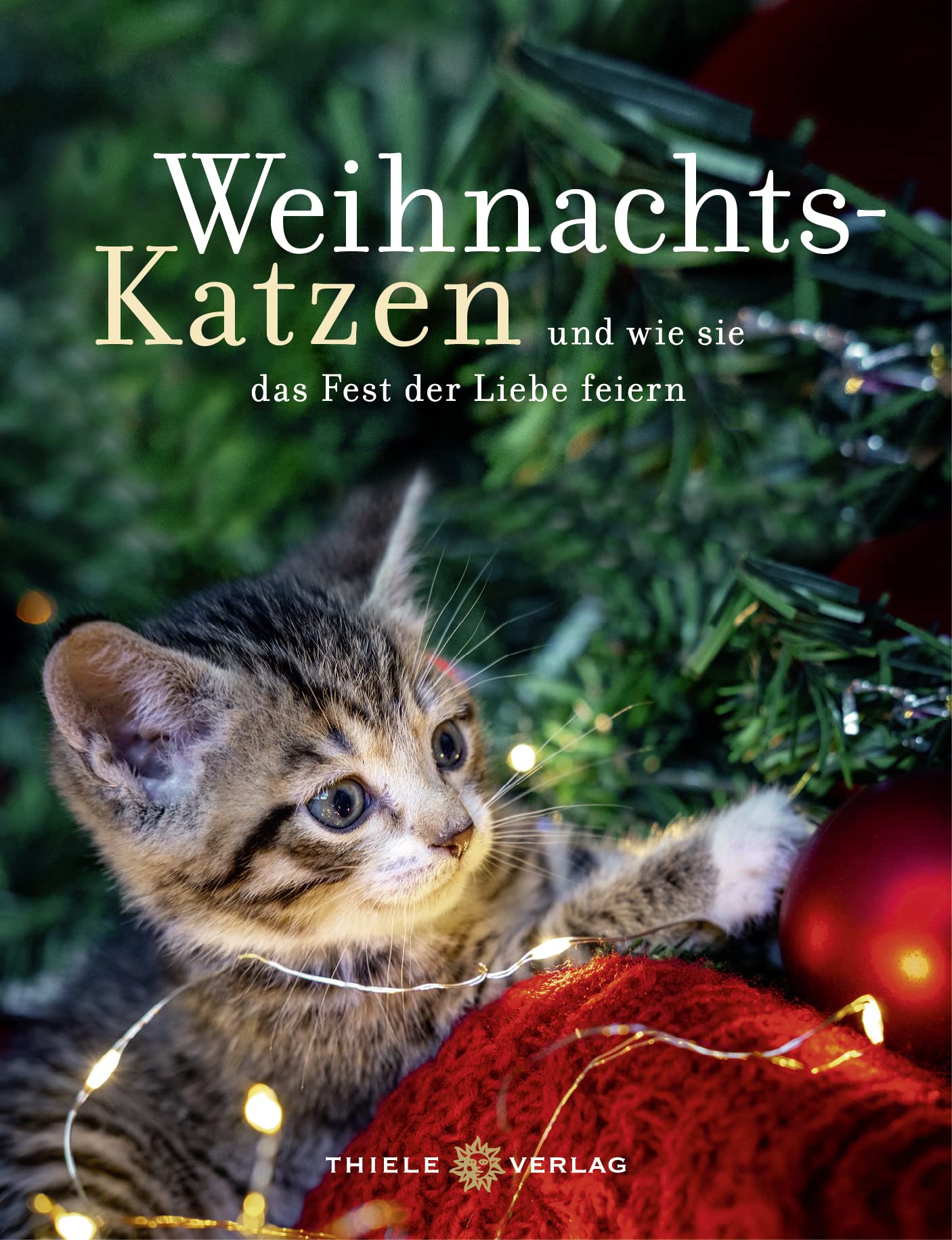Weihnachtskatzen Geschenkbuch Lifestyle Books