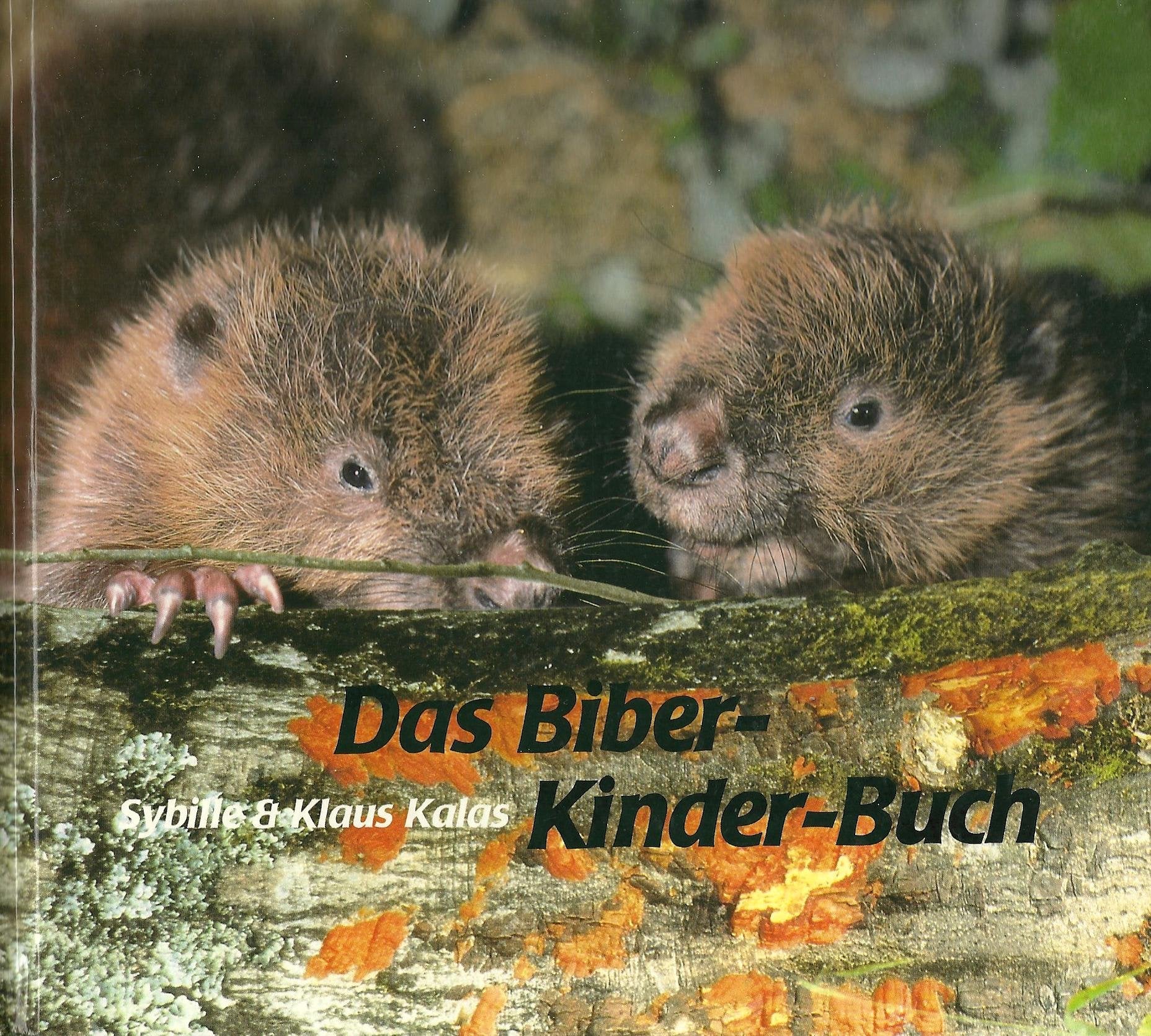 Biber-Kinder-Buch: Ein Photokinderbuch Books