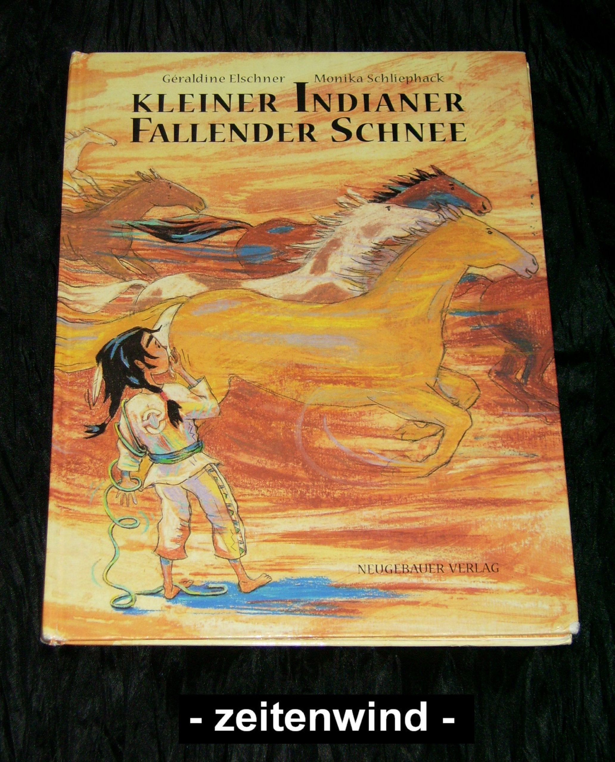 Kleiner Indianer Fallender Schnee Children's books