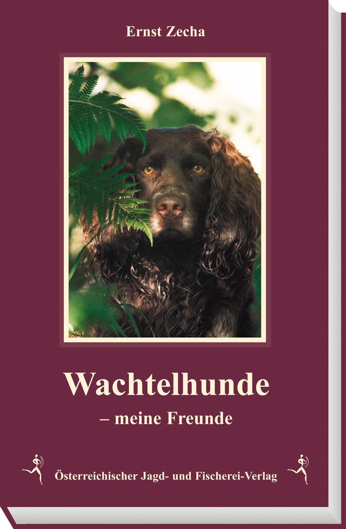 Wachtelhunde meine Freunde Pets