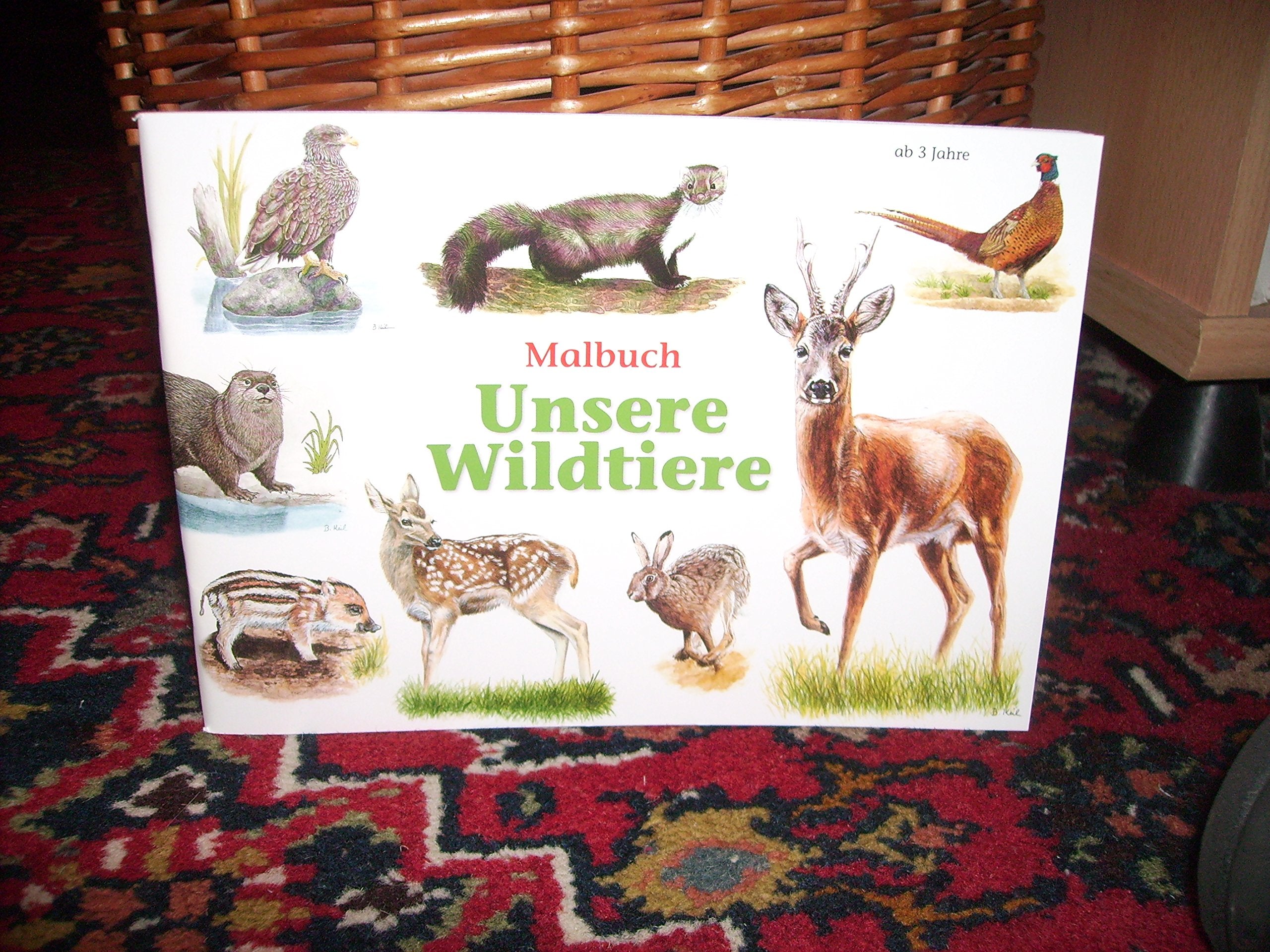 Wildtiere kennen lernen Tiptoi & Games