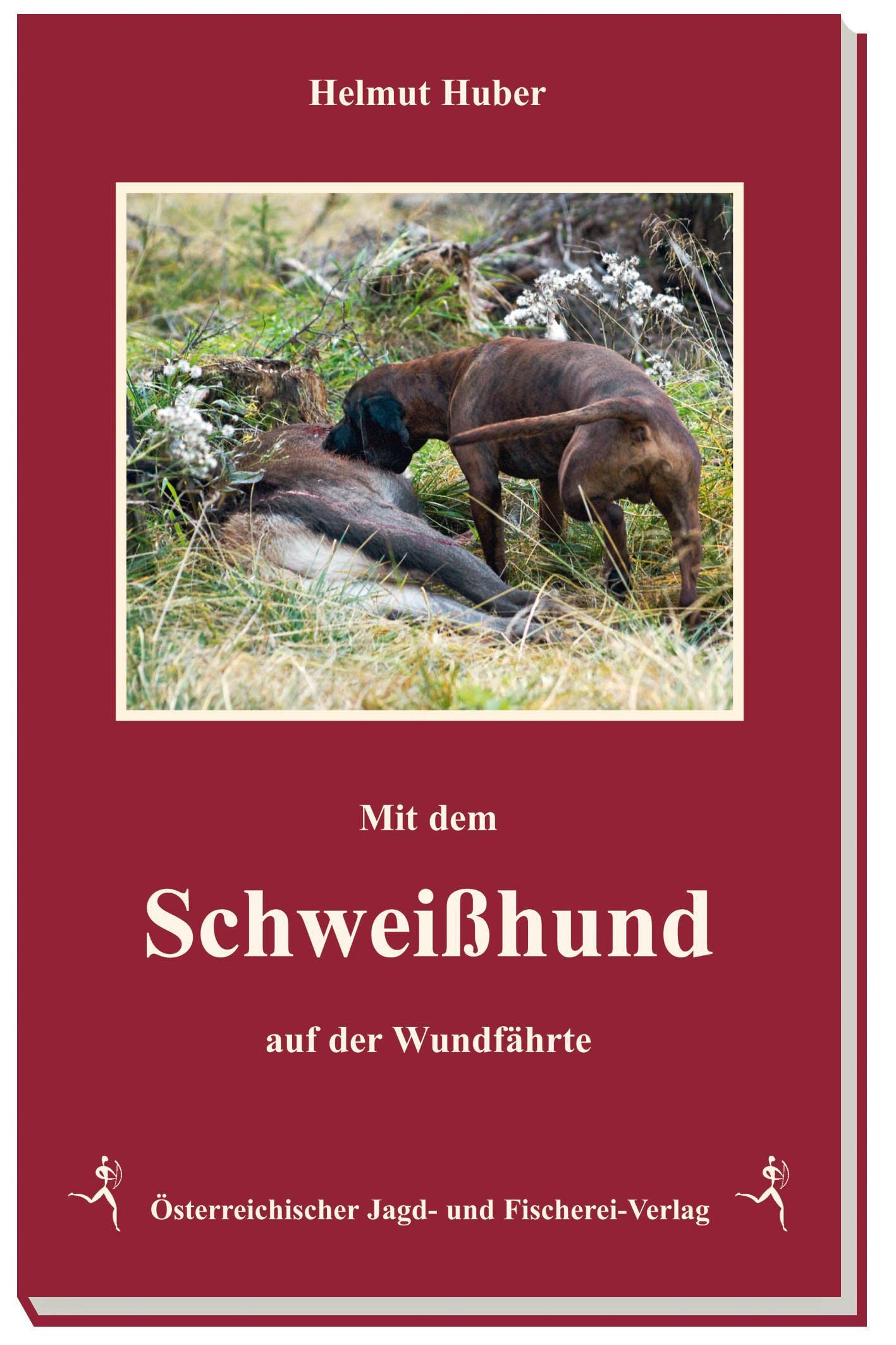 Product Image: Auf der Wundfährte
