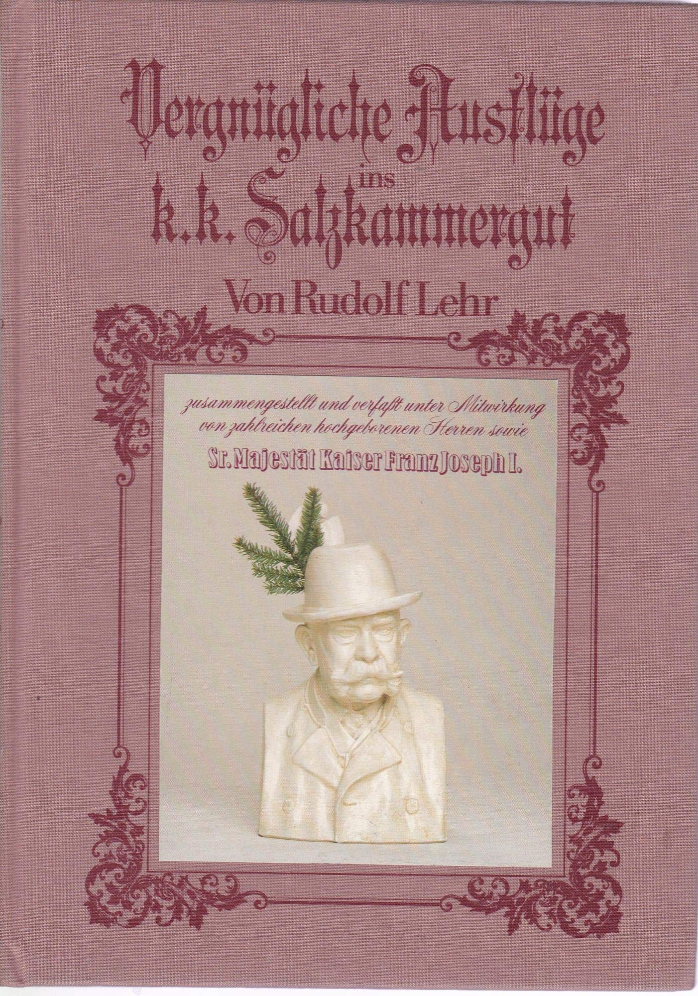 Vergnügliche Ausflüge ins k.k. Salzkammergut in Österreich ob der Enns und der Steiermark zur gessligen Begleitung in diese Gegenden Books