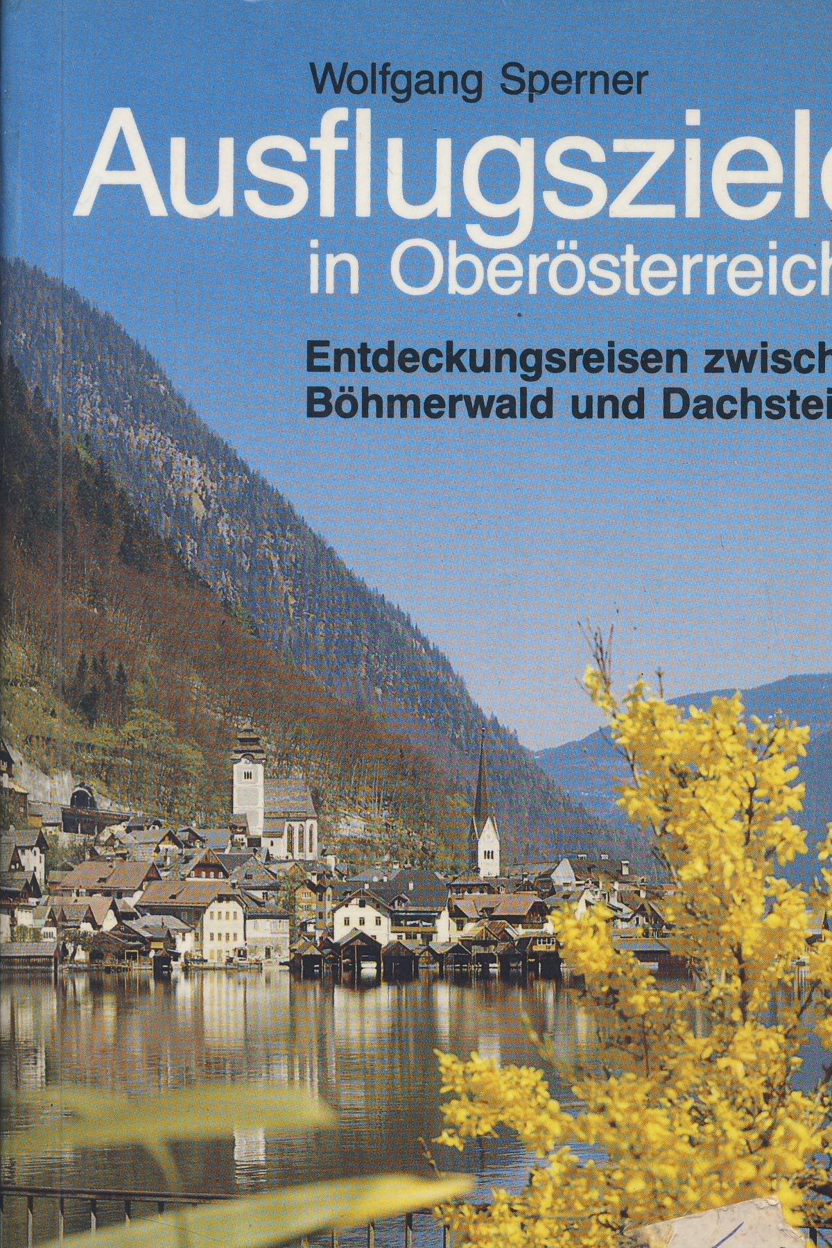 Ausflugsziele in Oberösterreich: Entdeckungsreisen zwischen Böhmerwald und Dachstein Books