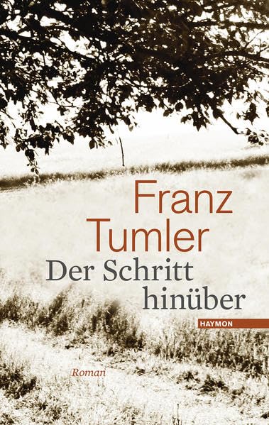 Product Image: Der Schritt hinüber
